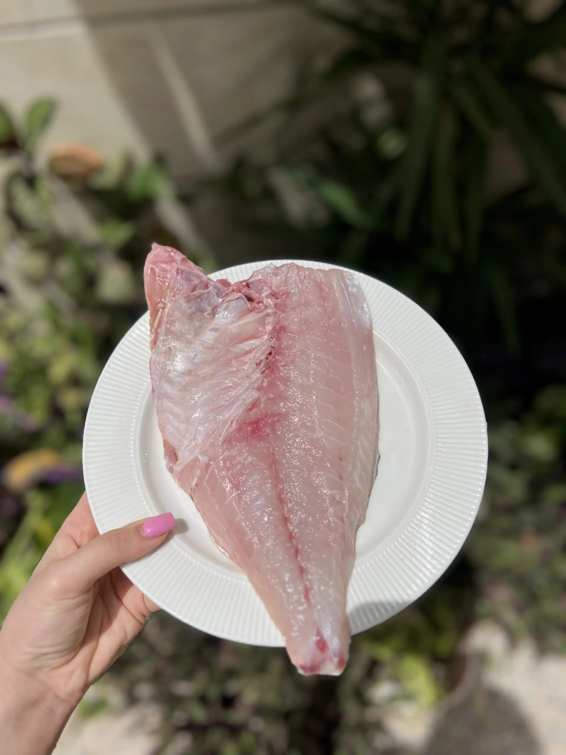 ماهی کُخو نزدیک ترین طعم به میگو رو داره. بدون تیغ و کاملا گوشتی